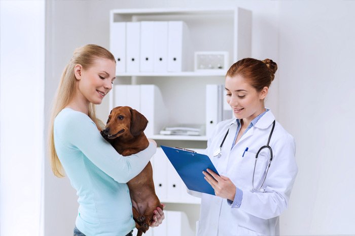 ЭЦП для оформления ветеринарных сертификатов (ГИС Меркурий) в Избербаше